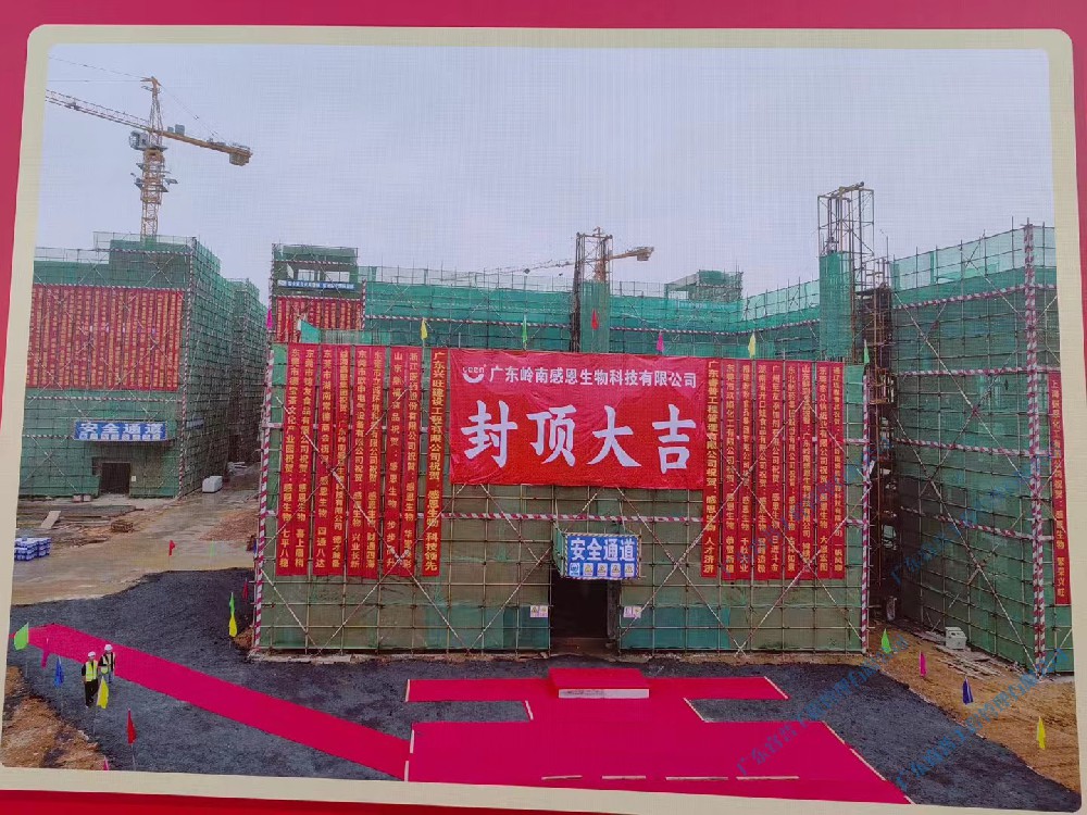 广东岭南感恩生物科技有限公司食品添加剂生产项目