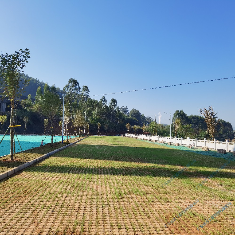 马坝水文—沙溪东华乡村振兴示范带建设项目4